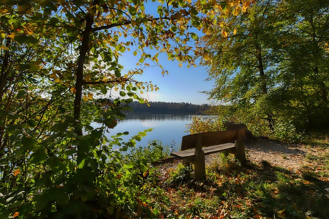 纳的防线 纳的防线