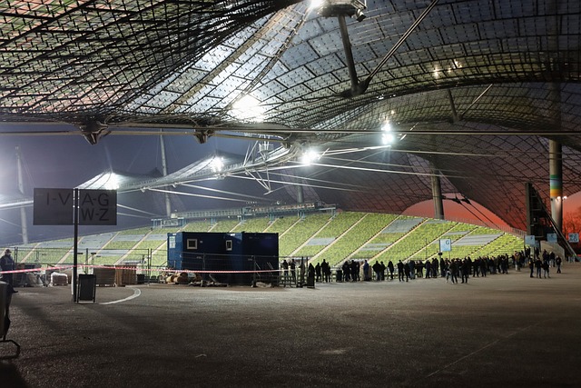 球迷心理的 球迷心理的