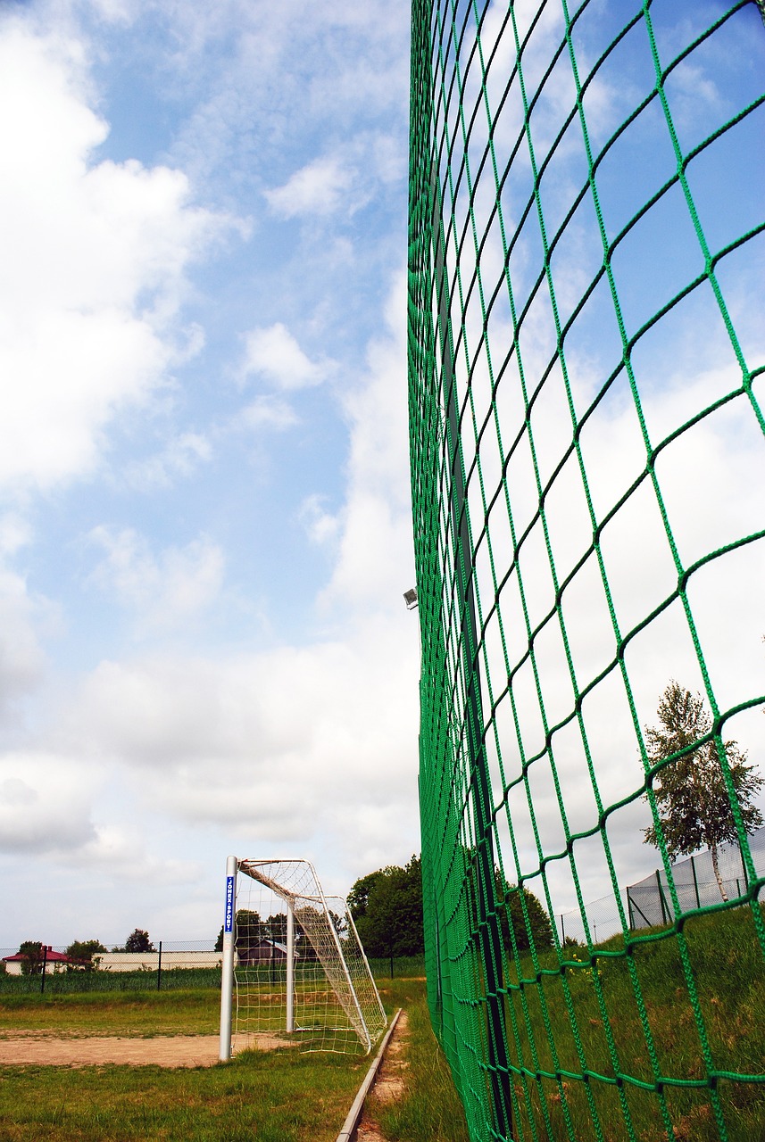 表现和坚韧 表现和坚韧