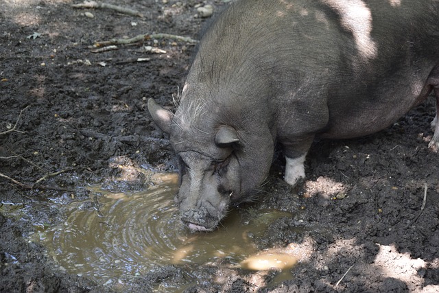 多项历史性 多项历史性
