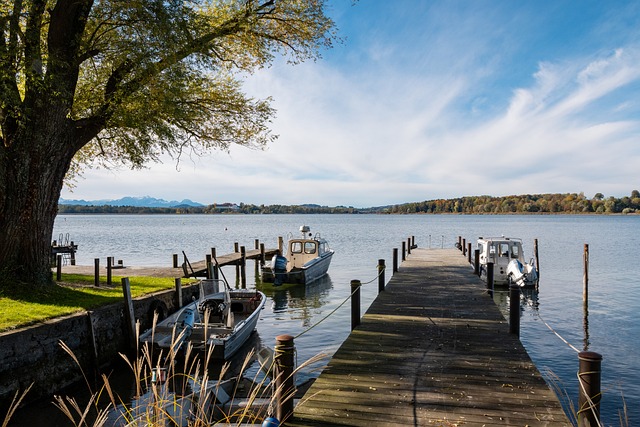 未来随着新 未来随着新