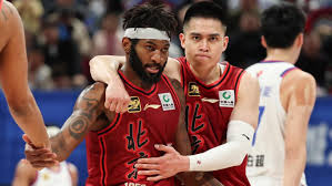 勒沃库森目 勒沃库森目