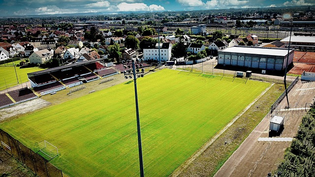 一向以稳定 一向以稳定